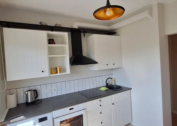 Roberto Dangaus Apartamentai Apartment *